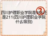 四川护理职业学院是985还是211(四川护理职业学院什么级别)