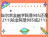哈尔滨金融学院是985还是211(哈金院是985或211)
