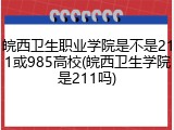 皖西卫生职业学院是不是211或985高校(皖西卫生学院是211吗)