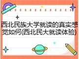 西北民族大学就读的真实感觉如何(西北民大就读体验)