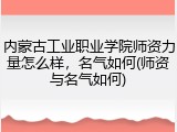 内蒙古工业职业学院师资力量怎么样，名气如何(师资与名气如何)
