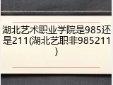 湖北艺术职业学院是985还是211(湖北艺职非985211)