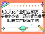 山东文化产业职业学院一年学费多少钱，还有哪些费用(山东文产职院学费)
