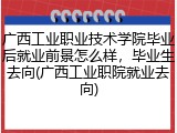 广西工业职业技术学院毕业后就业前景怎么样，毕业生去向(广西工业职院就业去向)