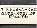 辽宁税务高等专科学校有哪些奖学金和助学金呢(辽宁税专奖助学金)