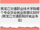 黑龙江交通职业技术学院哪个专业毕业就业前景比较好(黑龙江交通职院好就业专业)