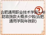 合肥通用职业技术学院一年财政拨款大概多少钱(合肥通用学院年拨款)