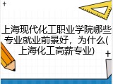上海现代化工职业学院哪些专业就业前景好，为什么(上海化工高薪专业)