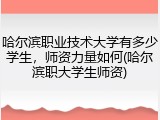 哈尔滨职业技术大学有多少学生，师资力量如何(哈尔滨职大学生师资)