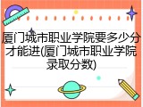 厦门城市职业学院要多少分才能进(厦门城市职业学院录取分数)