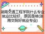 湖南交通工程学院什么专业就业比较好，原因是啥(湖南交院好就业专业)