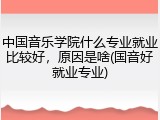中国音乐学院什么专业就业比较好，原因是啥(国音好就业专业)