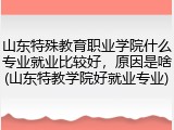 山东特殊教育职业学院什么专业就业比较好，原因是啥(山东特教学院好就业专业)