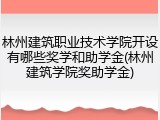 林州建筑职业技术学院开设有哪些奖学和助学金(林州建筑学院奖助学金)