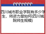 四川城市职业学院有多少学生，师资力量如何(四川城院师生规模)