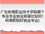 广东岭南职业技术学院哪个专业毕业就业前景比较好(岭南职院好就业专业)