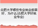 合肥大学哪些专业就业前景好，为什么(合肥大学好就业专业)