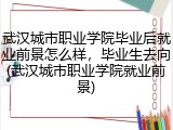 武汉城市职业学院毕业后就业前景怎么样，毕业生去向(武汉城市职业学院就业前景)