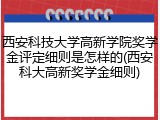 西安科技大学高新学院奖学金评定细则是怎样的(西安科大高新奖学金细则)