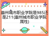 惠州城市职业学院是985还是211(惠州城市职业学院属性)
