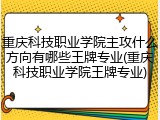 重庆科技职业学院主攻什么方向有哪些王牌专业(重庆科技职业学院王牌专业)
