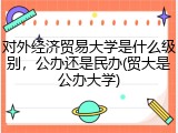 对外经济贸易大学是什么级别，公办还是民办(贸大是公办大学)
