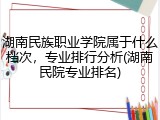 湖南民族职业学院属于什么档次，专业排行分析(湖南民院专业排名)