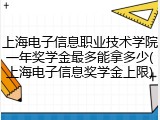 上海电子信息职业技术学院一年奖学金最多能拿多少(上海电子信息奖学金上限)