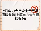 上海电力大学含金量量吗，值得报吗(上海电力大学值得报吗)