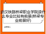 武汉铁路桥梁职业学院读什么专业比较有前景(桥梁专业前景好)