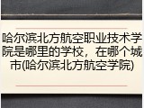 哈尔滨北方航空职业技术学院是哪里的学校，在哪个城市(哈尔滨北方航空学院)