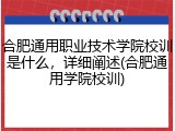 合肥通用职业技术学院校训是什么，详细阐述(合肥通用学院校训)