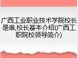 广西工业职业技术学院校长是谁,校长基本介绍(广西工职院校领导简介)