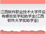 江西软件职业技术大学开设有哪些奖学和助学金(江西软件大学奖助学金)