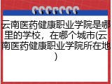 云南医药健康职业学院是哪里的学校，在哪个城市(云南医药健康职业学院所在地)