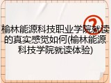 榆林能源科技职业学院就读的真实感觉如何(榆林能源科技学院就读体验)