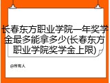 长春东方职业学院一年奖学金最多能拿多少(长春东方职业学院奖学金上限)