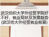 武汉纺织大学外经贸学院好不好，就业现状及发展趋势(武汉纺大外经贸就业前景)