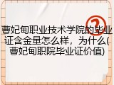 曹妃甸职业技术学院的毕业证含金量怎么样，为什么(曹妃甸职院毕业证价值)