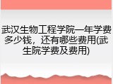 武汉生物工程学院一年学费多少钱，还有哪些费用(武生院学费及费用)
