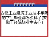 安徽工业经济职业技术学院的学生毕业都怎么样了(安徽工经院毕业生去向)