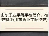 山东职业学院学校简介，校史概述(山东职业学院校史)
