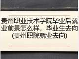 贵州职业技术学院毕业后就业前景怎么样，毕业生去向(贵州职院就业去向)