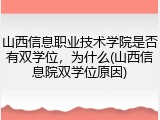 山西信息职业技术学院是否有双学位，为什么(山西信息院双学位原因)