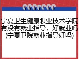 宁夏卫生健康职业技术学院有没有就业指导，好就业吗(宁夏卫院就业指导好吗)