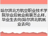 哈尔滨北方航空职业技术学院毕业后就业前景怎么样，毕业生去向(哈尔滨北航就业去向)