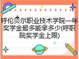 呼伦贝尔职业技术学院一年奖学金最多能拿多少(呼职院奖学金上限)
