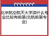 北京航空航天大学读什么专业比较有前景(北航前景专业)