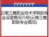 云南三鑫职业技术学院的专业设置概况介绍(云南三鑫职院专业概况)
