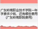 广东岭南职业技术学院一年学费多少钱，还有哪些费用(广东岭南职院费用)